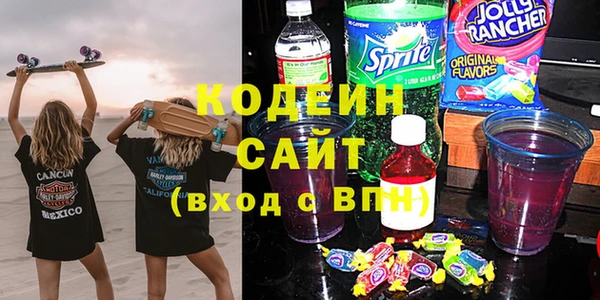 прущие грибы Бронницы