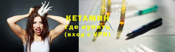 прущие грибы Бронницы