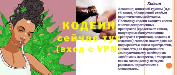 прущие грибы Бронницы