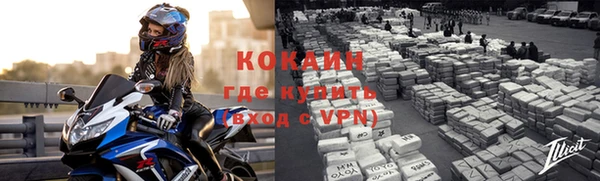 прущие грибы Бронницы