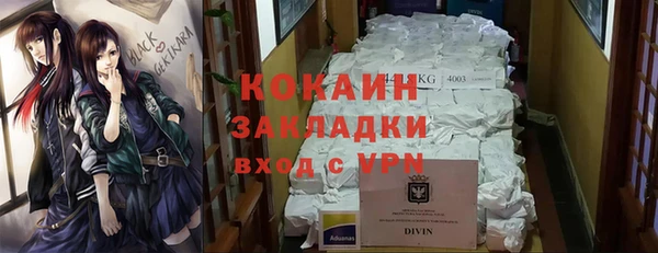 мескалин Бородино